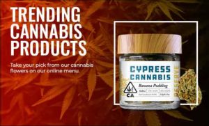 trending cannabis products