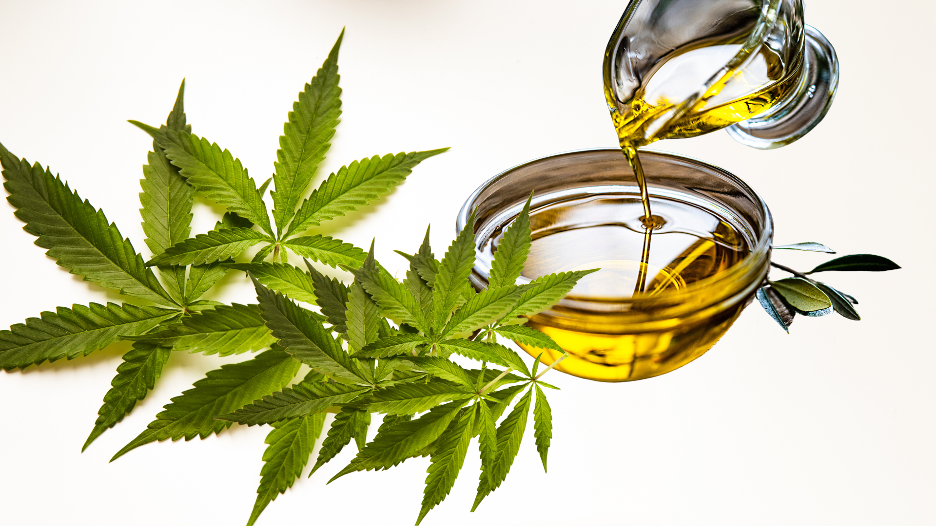 Read more about the article 10 Tips for Home Cannabis Oil Extraction Techniques