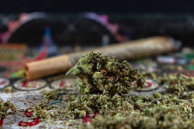 Read more about the article Recreational Cannabis: Your 2024 Guide to Bliss